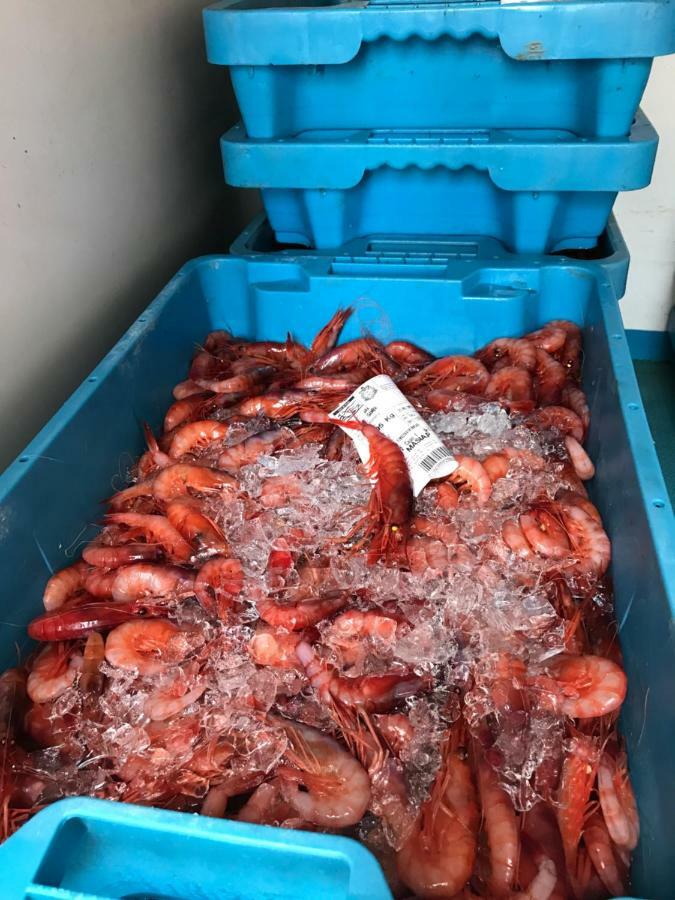Casita De Pescador Appartamento *